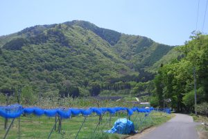 工事が多数進行中です！