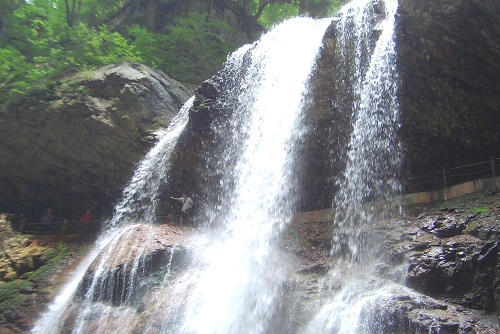 2013年　秋のガーデニングシーズンスタート！