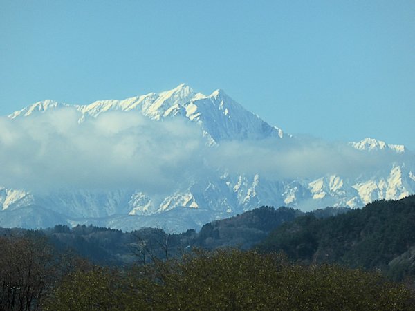 シンプルモダンのお家にマッチしたエクステリア。