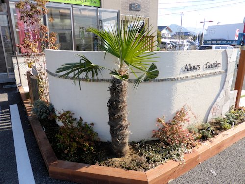 寒冷地で南国風。