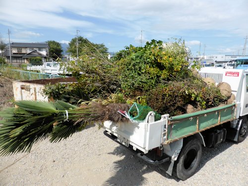 ようやく、秋の植栽シーズン！
