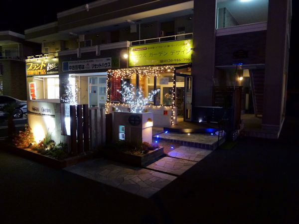 イルミネーション、始めました。