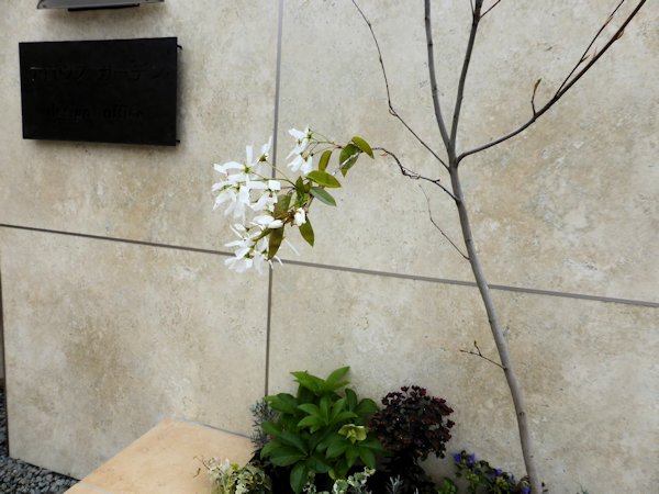 新緑　その後。