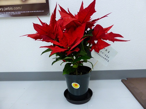 レストランのエクステリア工事が始まりました。