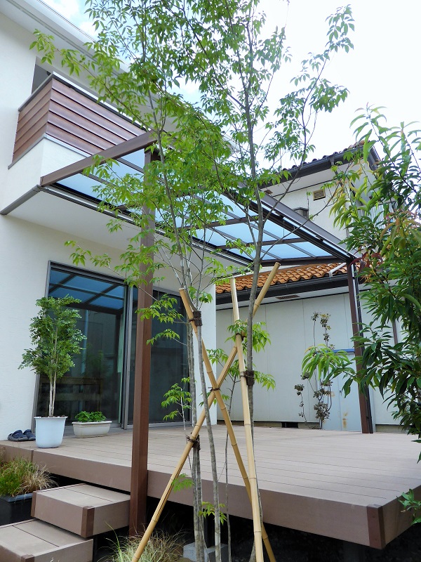 自然の風や目隠しには植木がベスト。