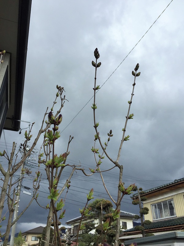 20170411_231843878_iOS