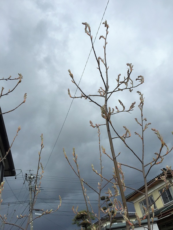 20170411_231918320_iOS