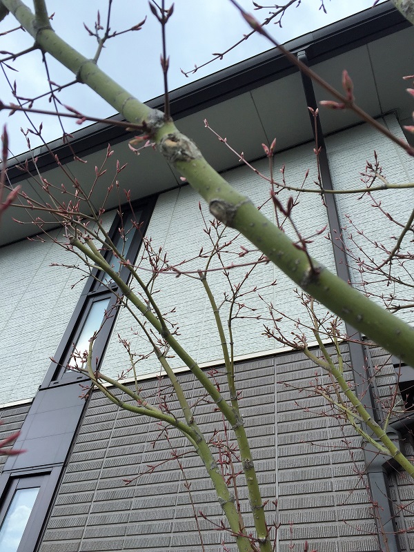 20170411_231949017_iOS