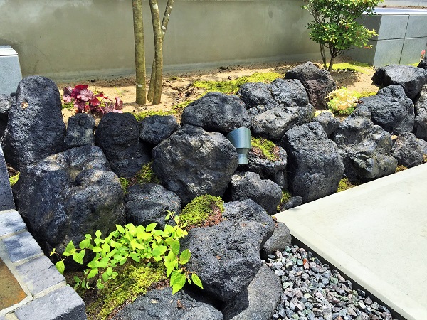 20170622_024150350_iOS