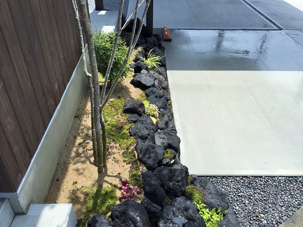 20170622_024255380_iOS