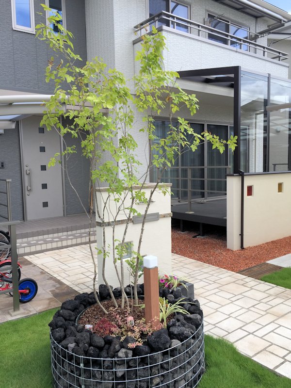 塗り壁のリフレッシュ。