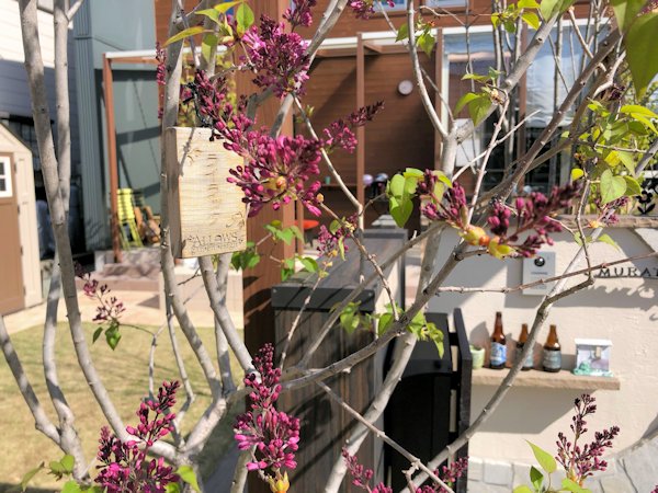 ã©ã¤ã©ãã¯ (2)