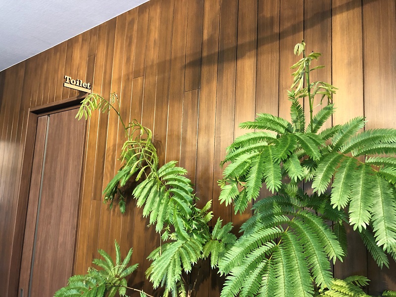 植物からも春が感じられます。