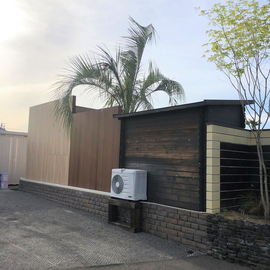 ココスヤシを植え替えました！