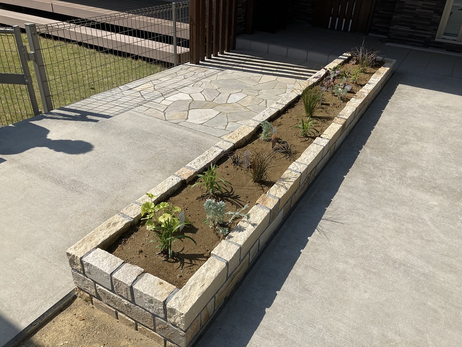 下草の植え込みを行いました