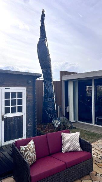 ココスヤシの冬支度