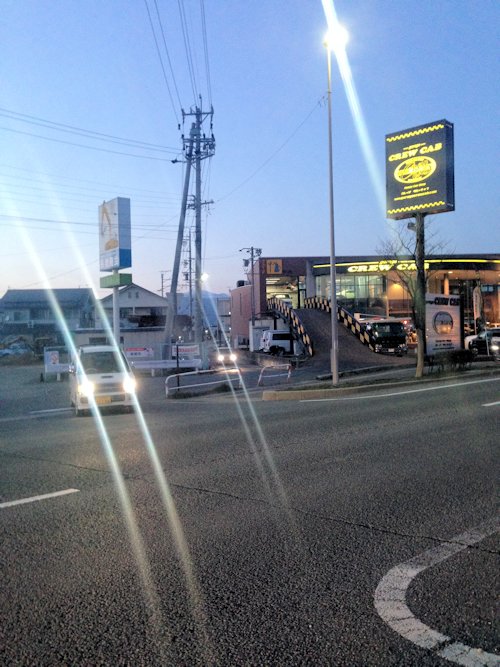 庭の展示会を開催します‼