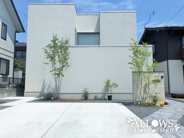 スタイリッシュな白い外壁に樹木の影を映す