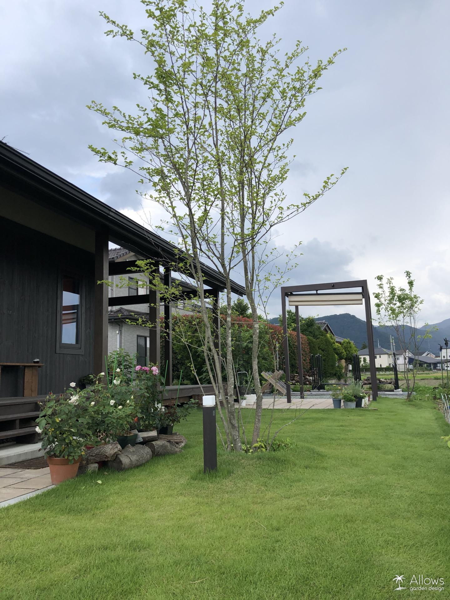 独立オーニング×天然芝