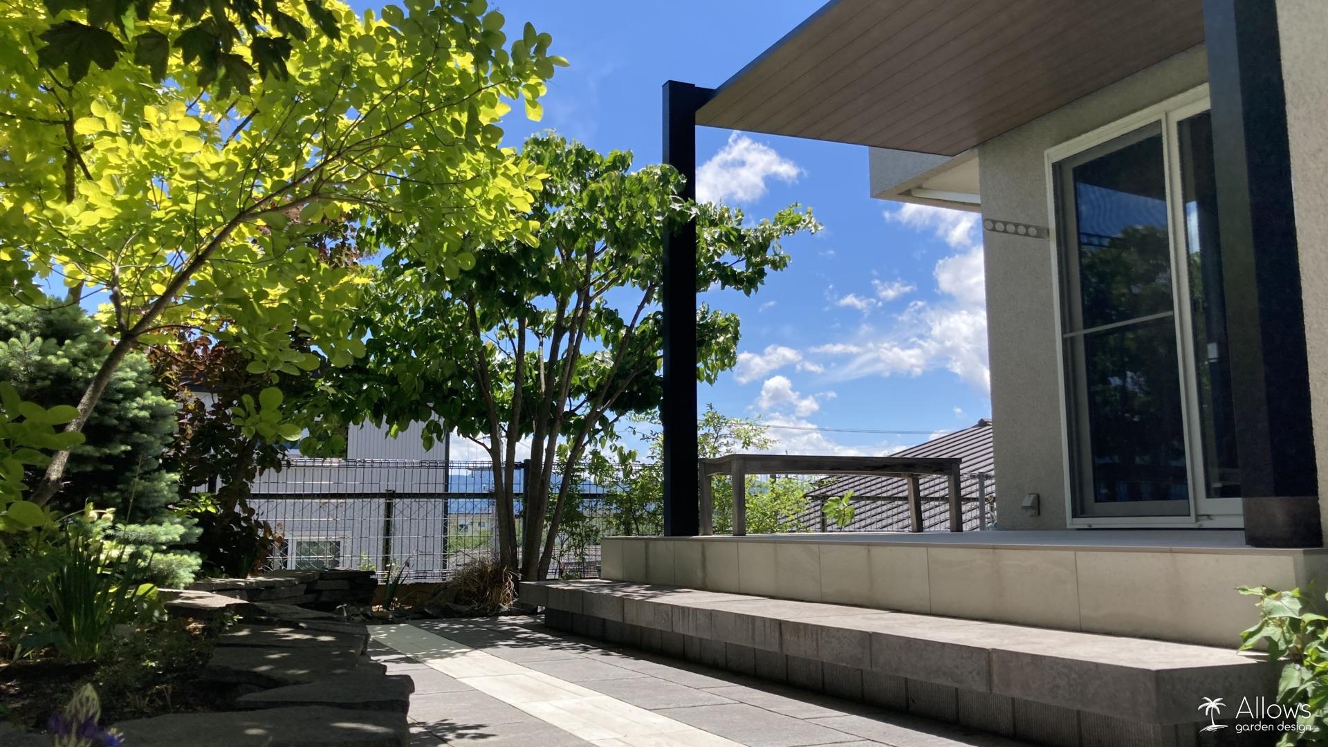 テラスSC　ブラック×チェリーウッド