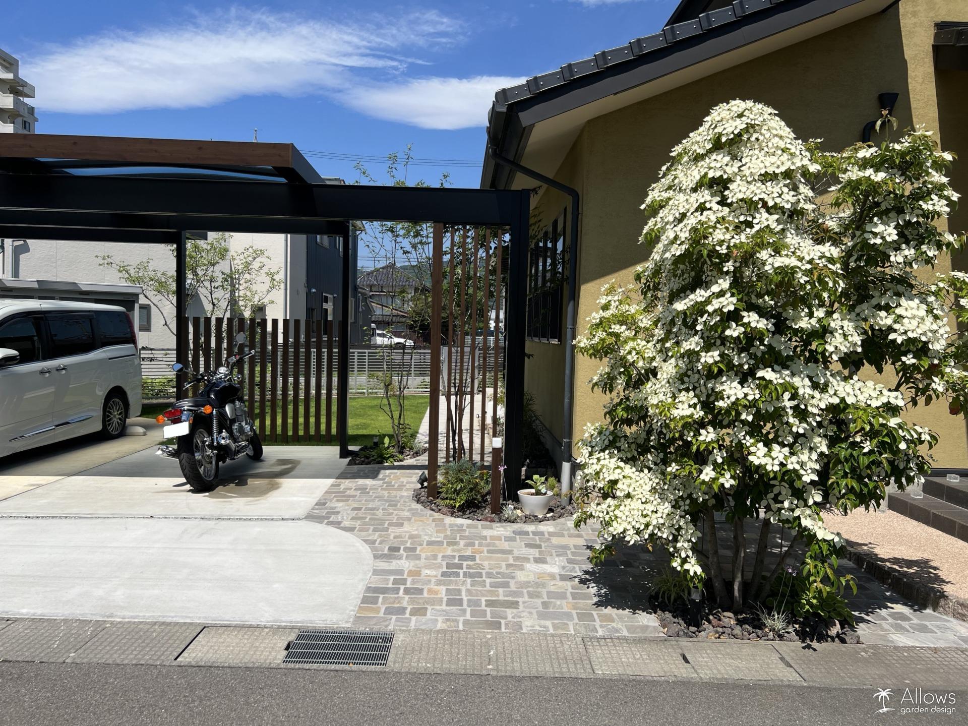 アンティコ(オールド)