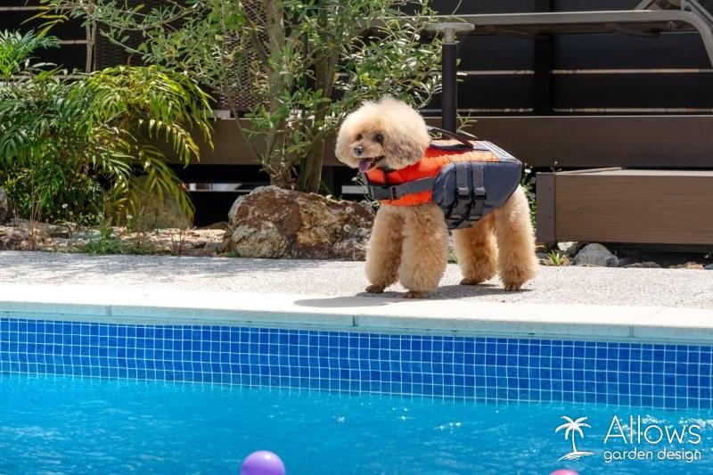 当社の展示場を撮影でご利用いただきました！