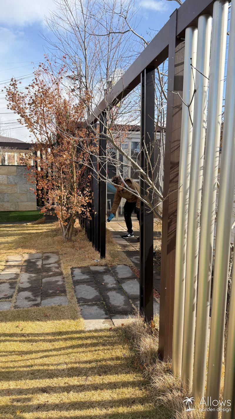 ココスヤシの冬支度と展示場の大掃除