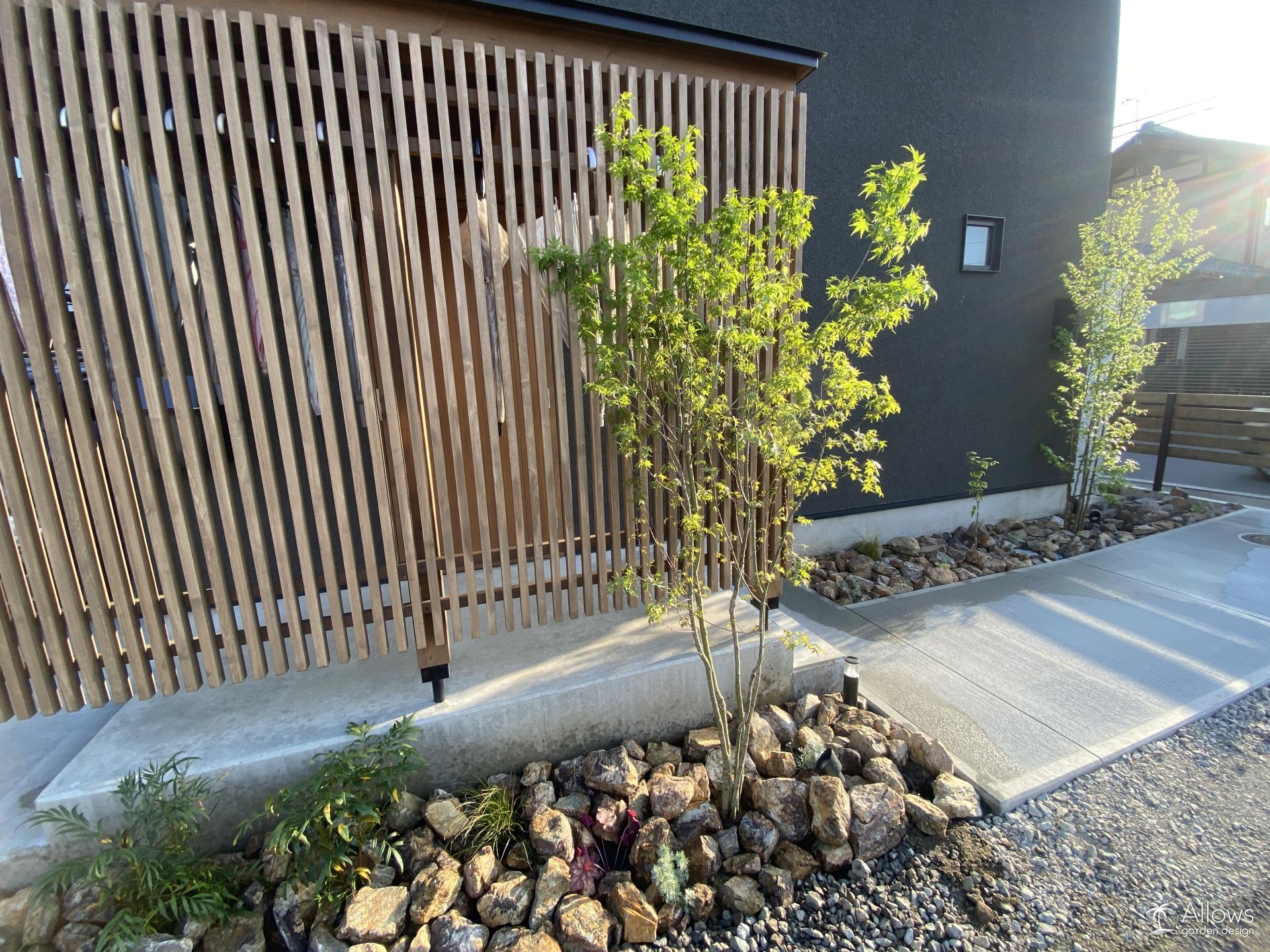 イロハモミジ×ゴロタ石