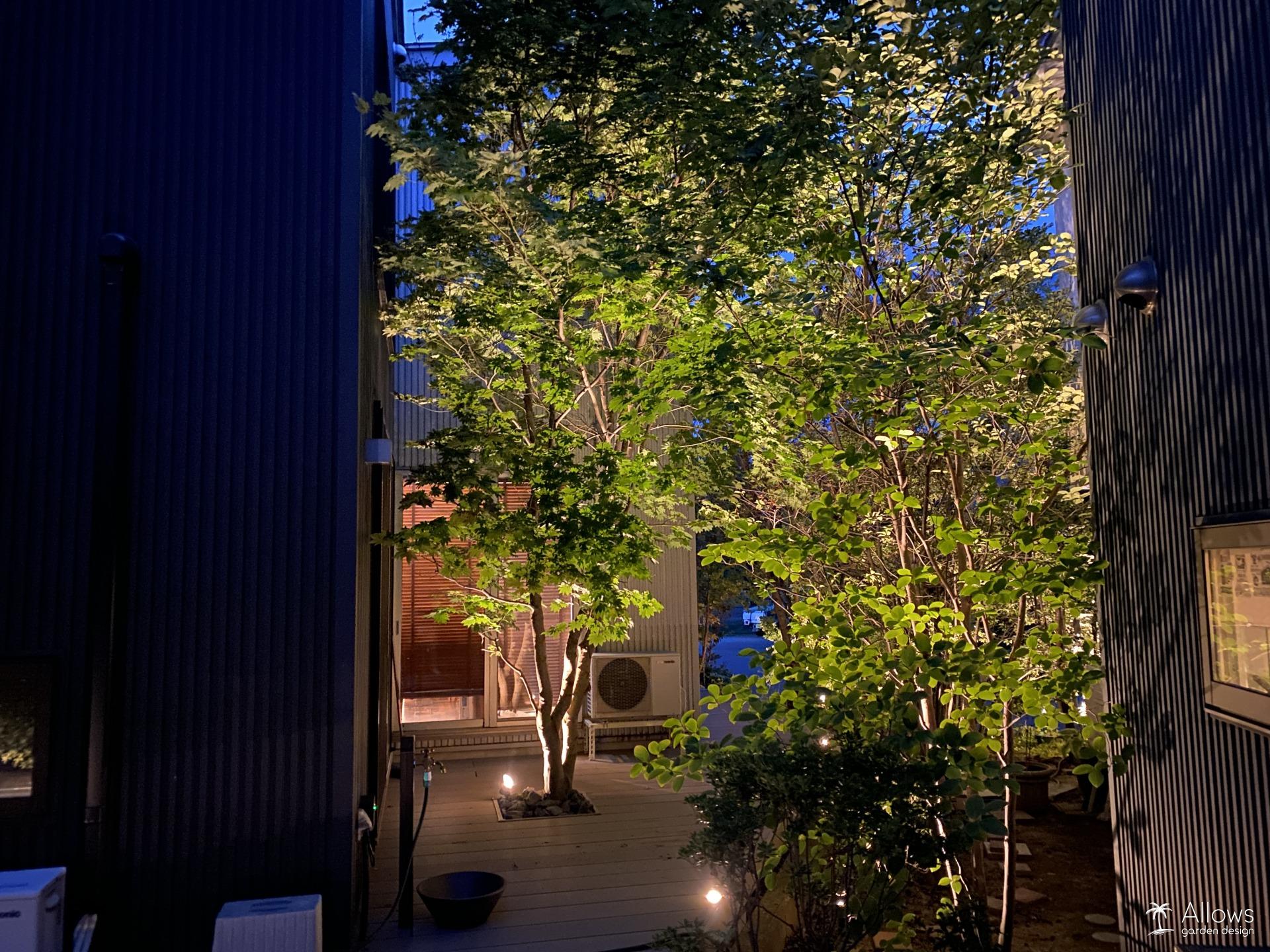 植栽を活かしたライティング