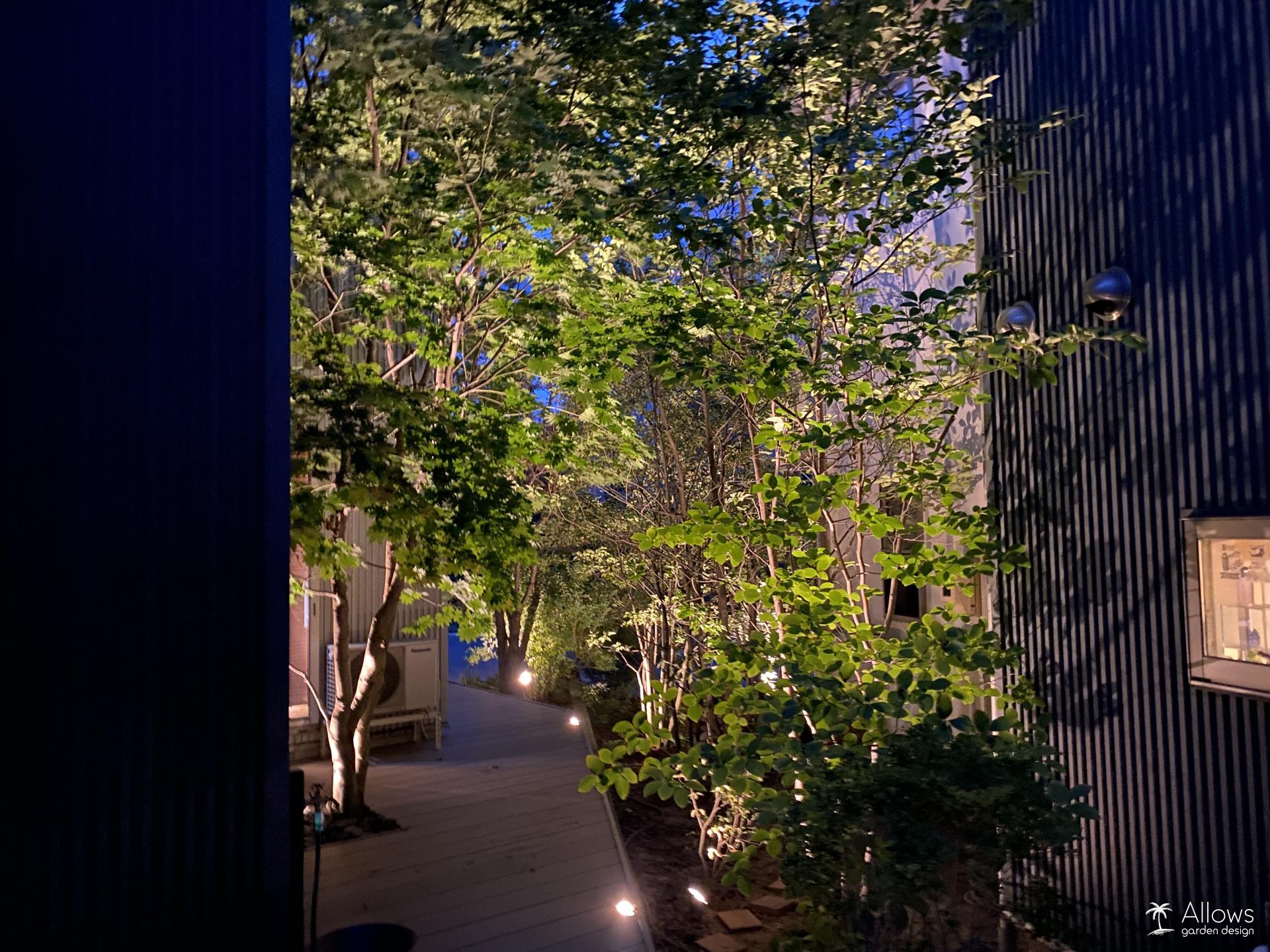 光が導く、ドラマチックなリフォーム・リノベーション